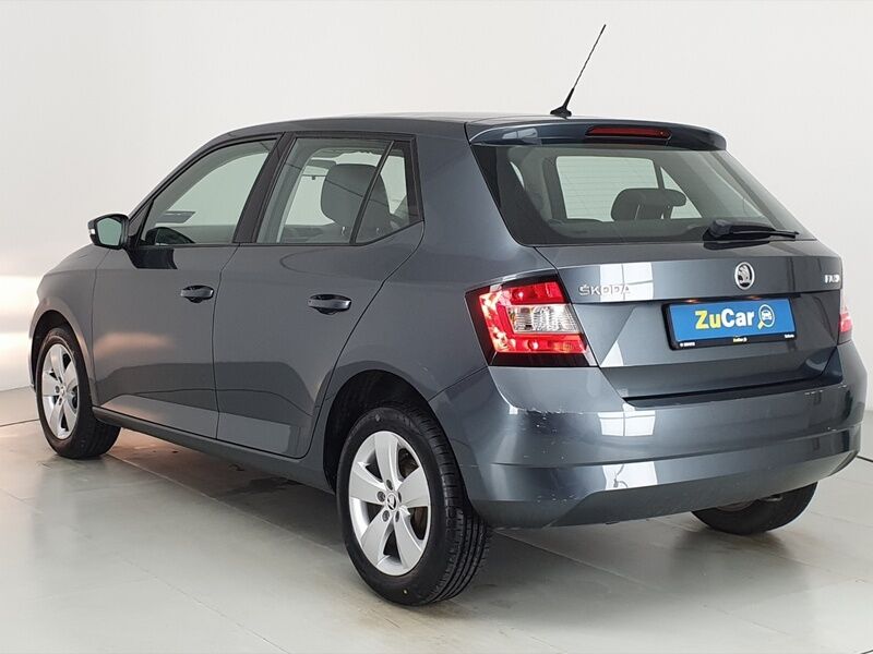 More views of Skoda Fabia