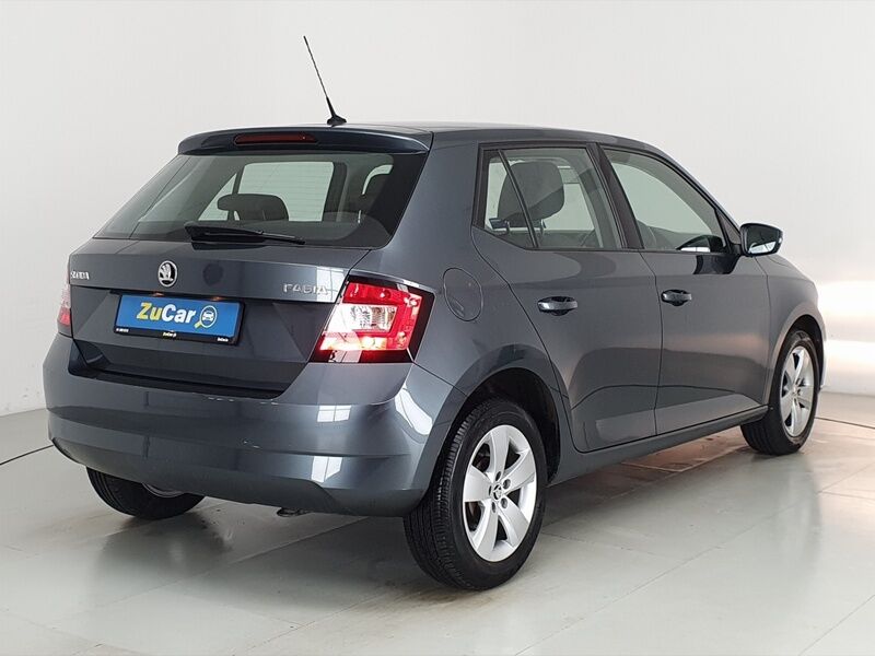 More views of Skoda Fabia